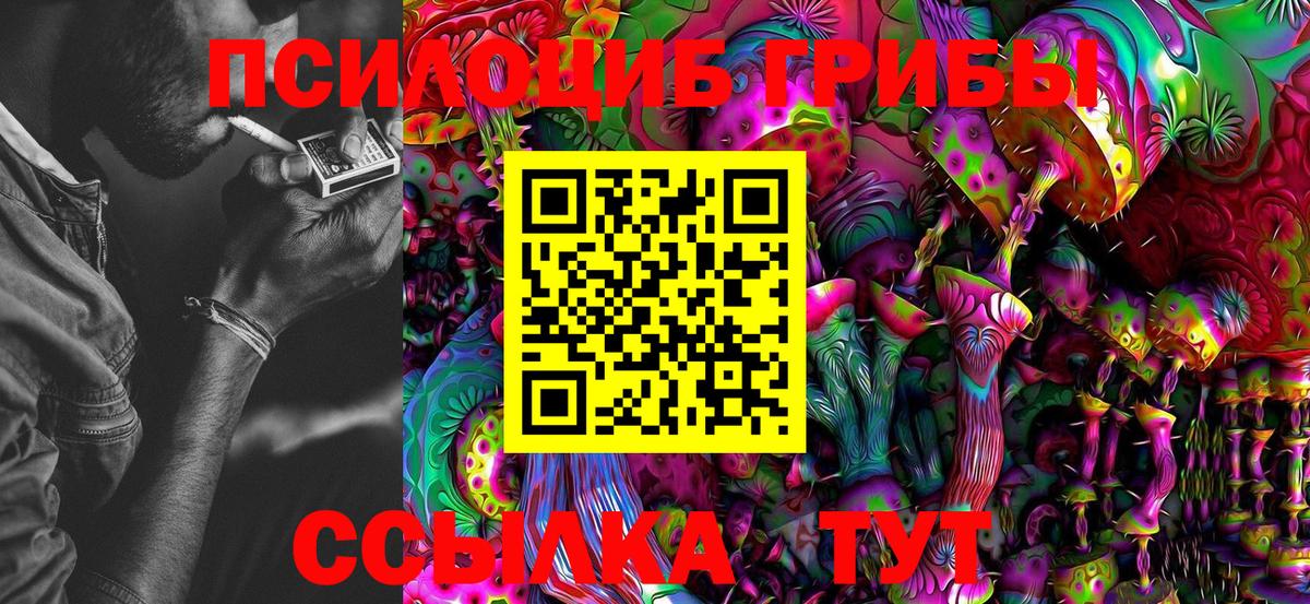 Псилоцибиновые грибы Psilocybe Липецк