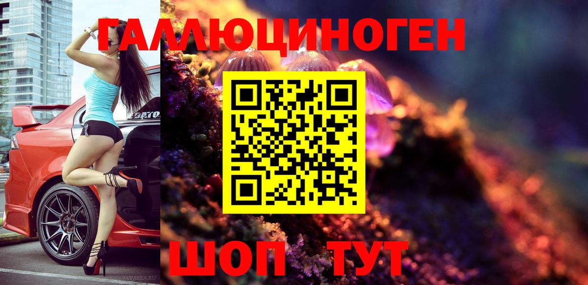 Галлюциногенные грибы Psilocybe  Вход с VPN  Липецк  Галлюциногенные грибы Psilocybe 